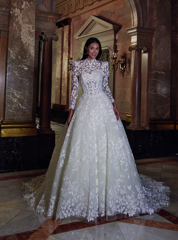 Prinsessen trouwjurk DP546 Demetrios Platinum met lange mouwen, hoge hals en uniek bladmotief, in vooraanzicht.