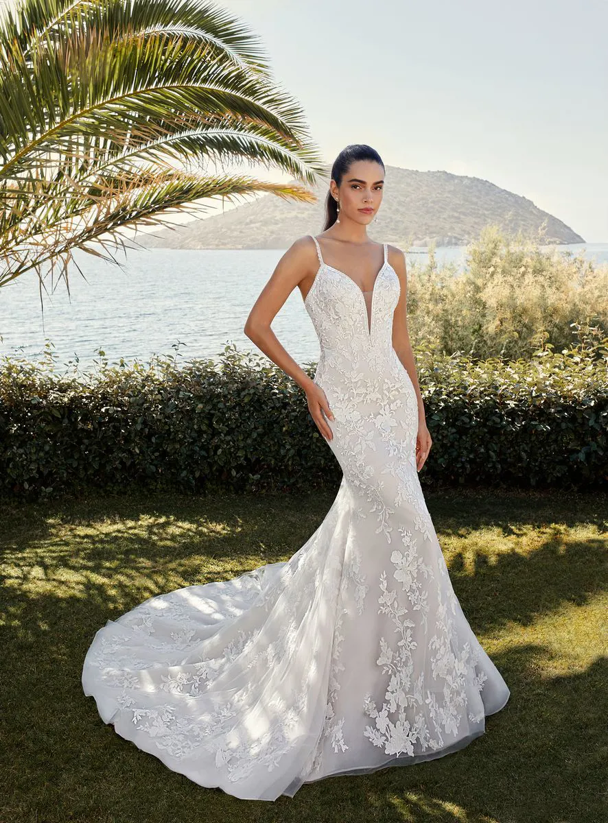 8149 Cosmobella